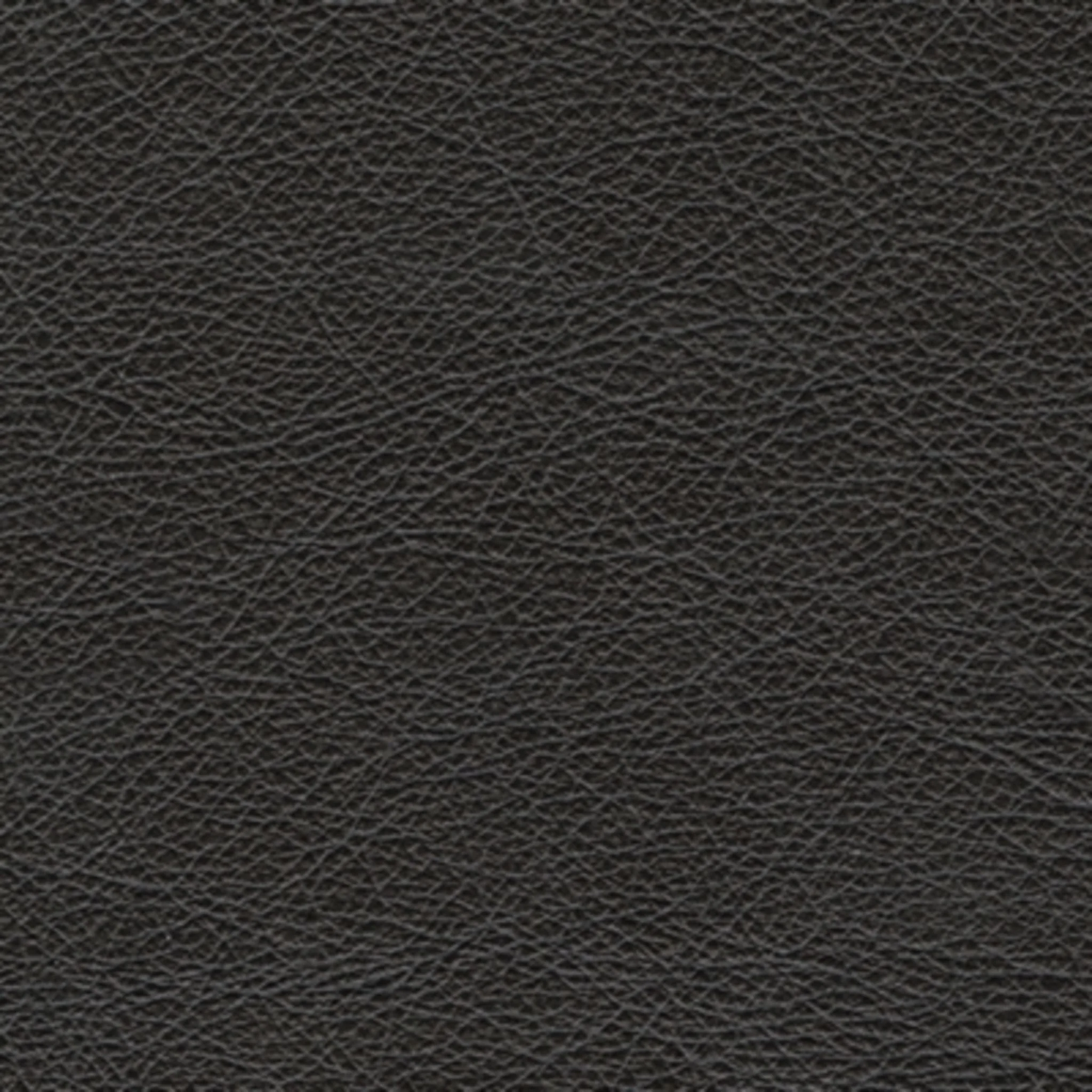 Amiata Sofa - Image 7