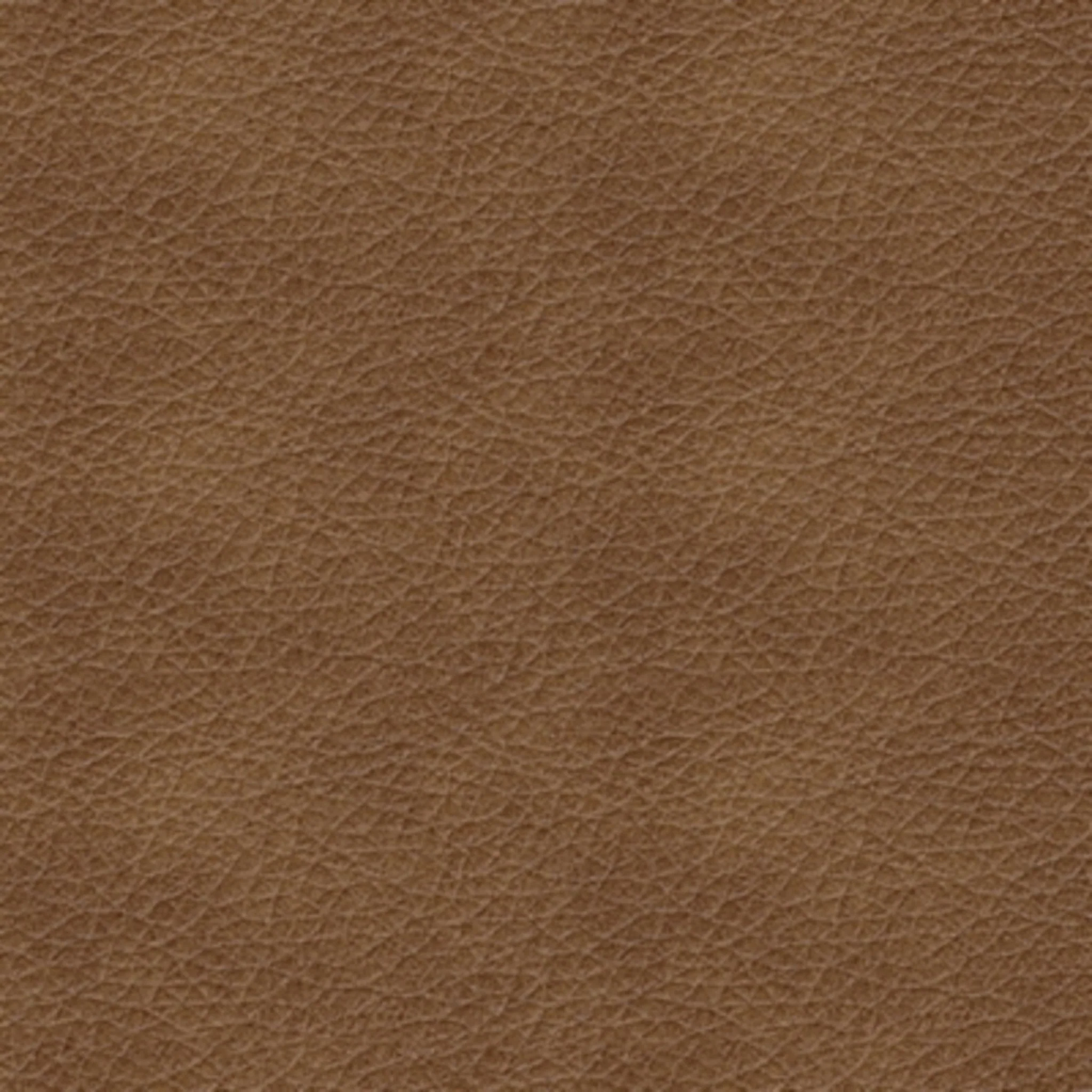 Bolsena Rocker Recliner - Image 9