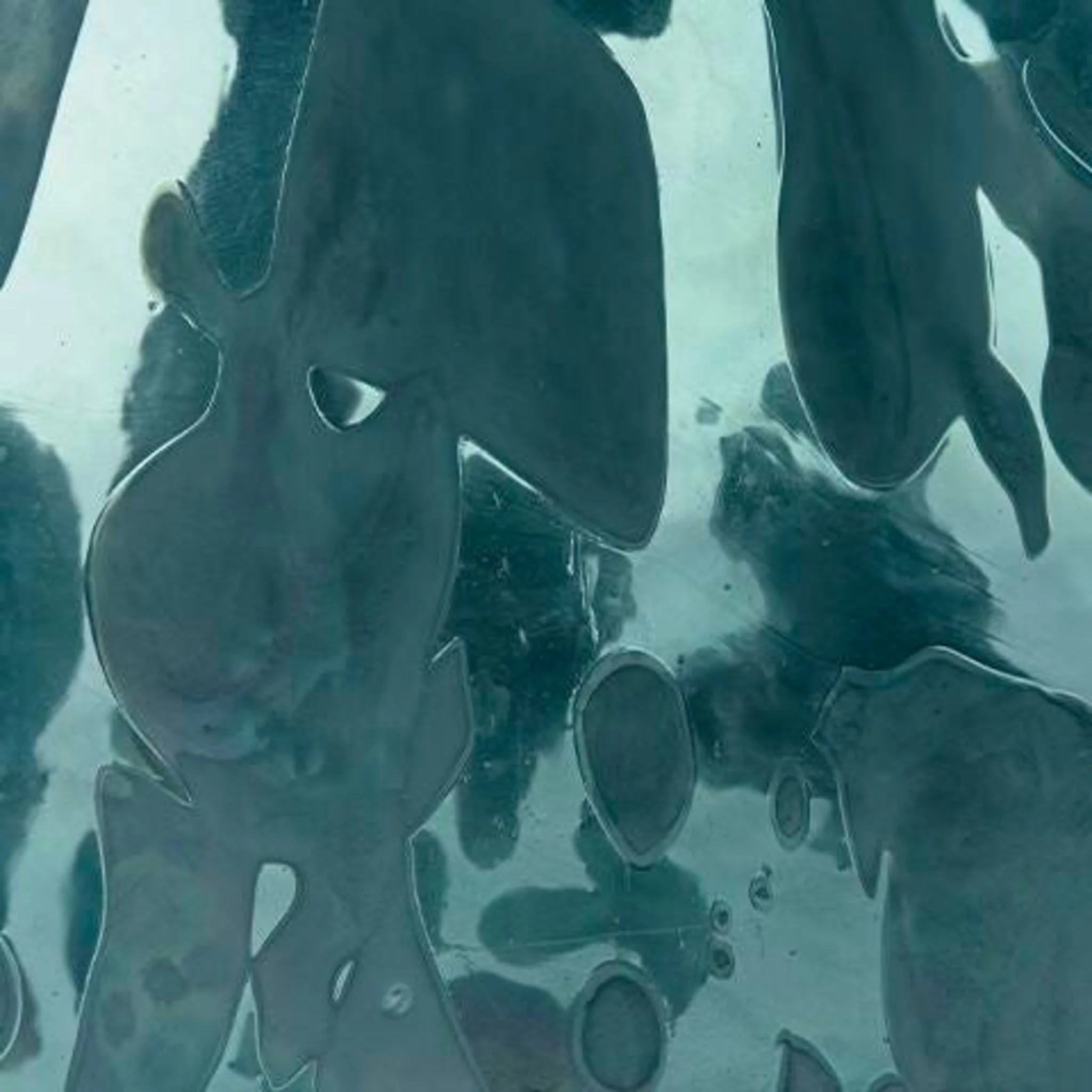 Cartshaw Vase - Image 7