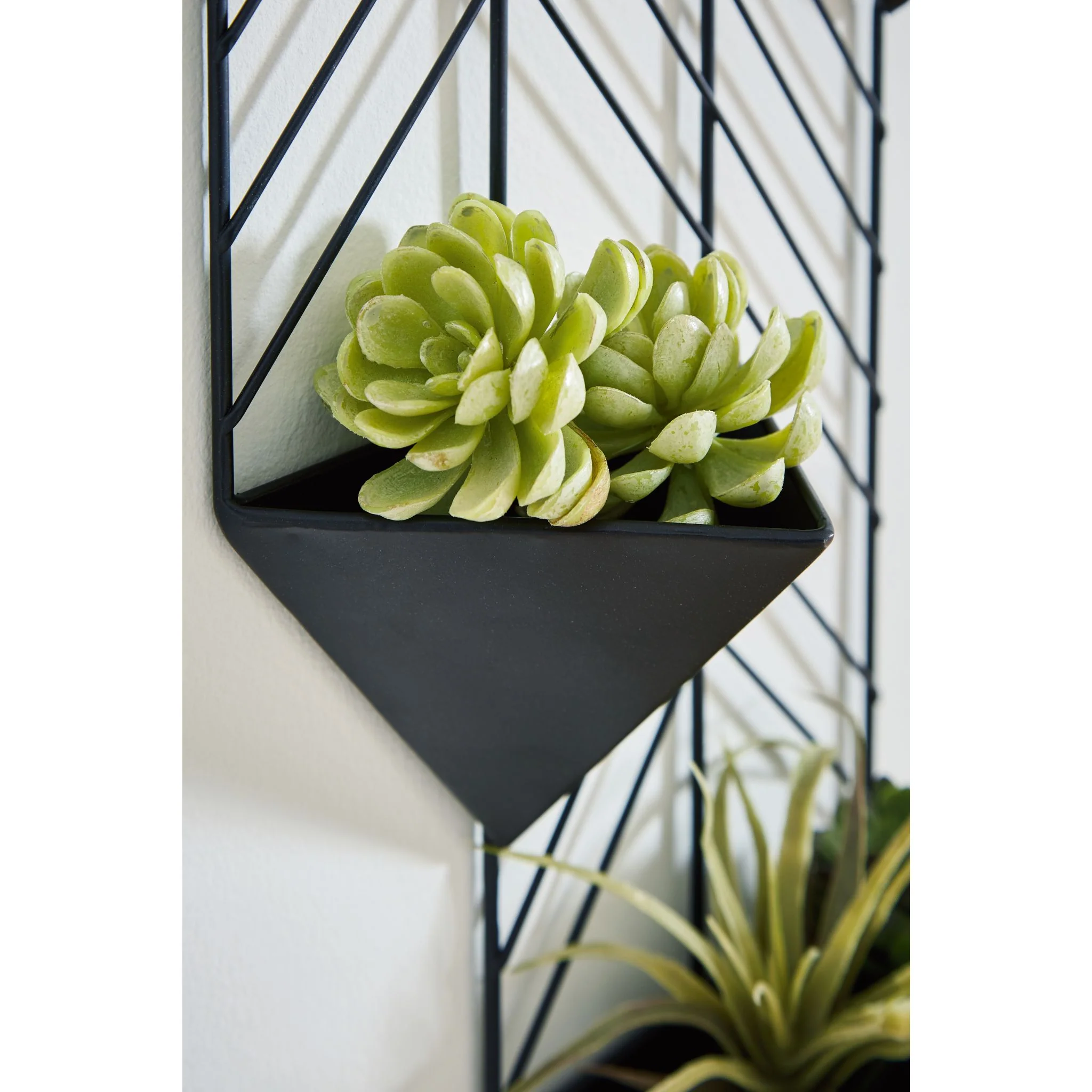Dashney Wall Decor - Image 5