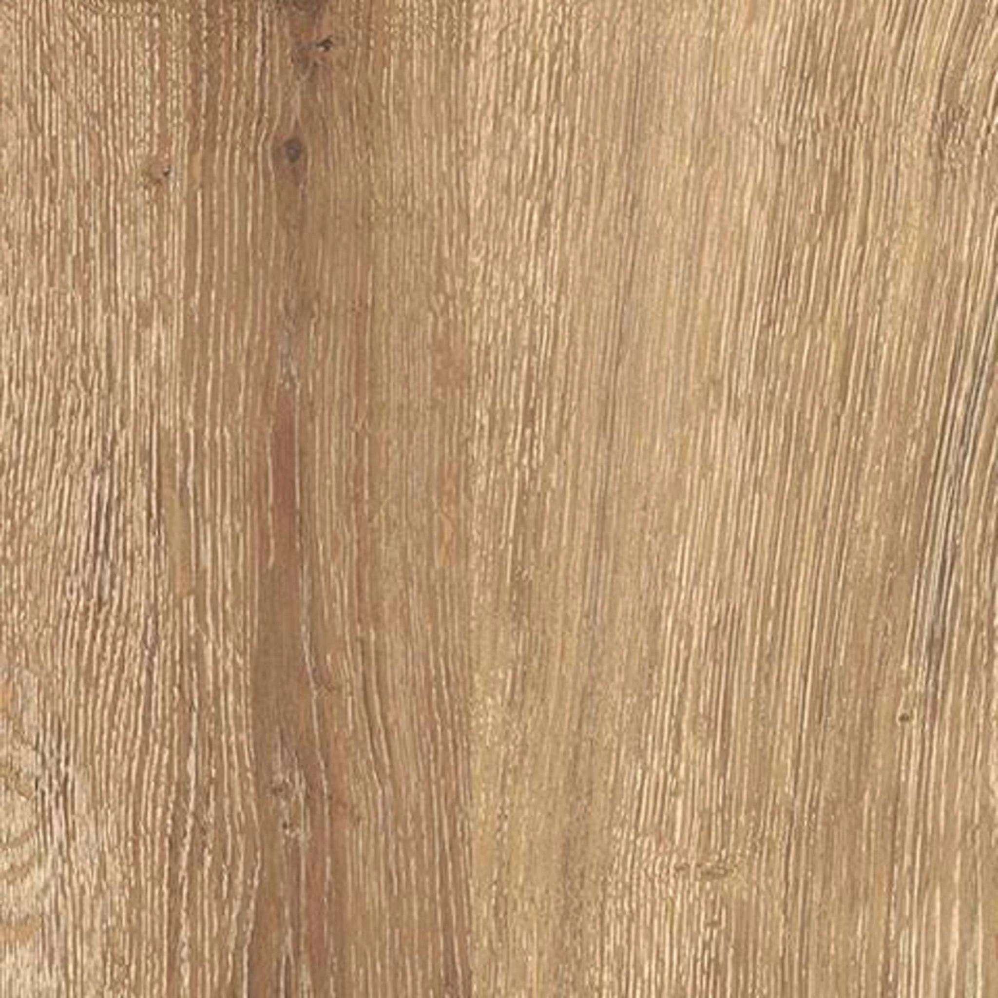 Fenderport Mirror - Image 11