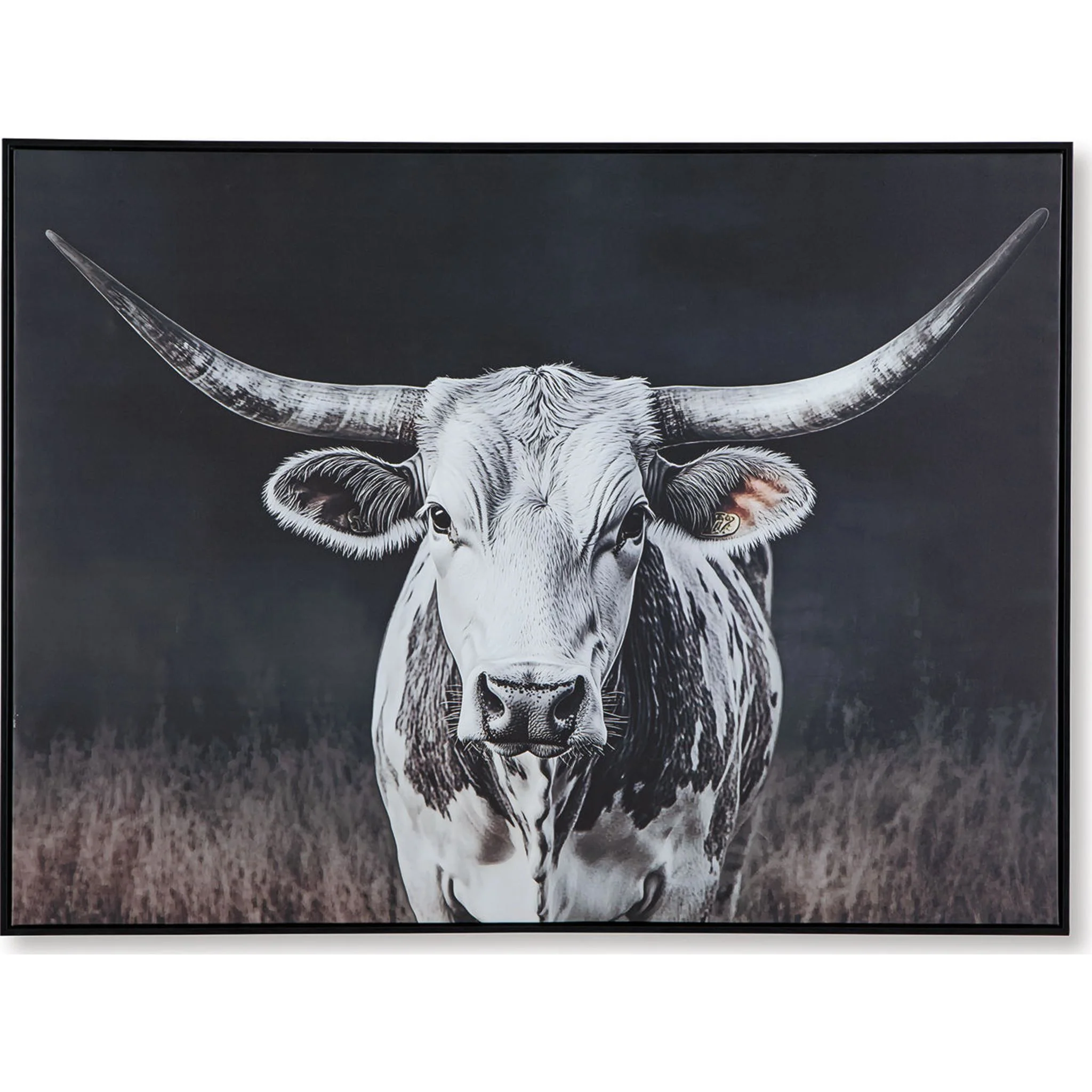 Harlandale Wall Art