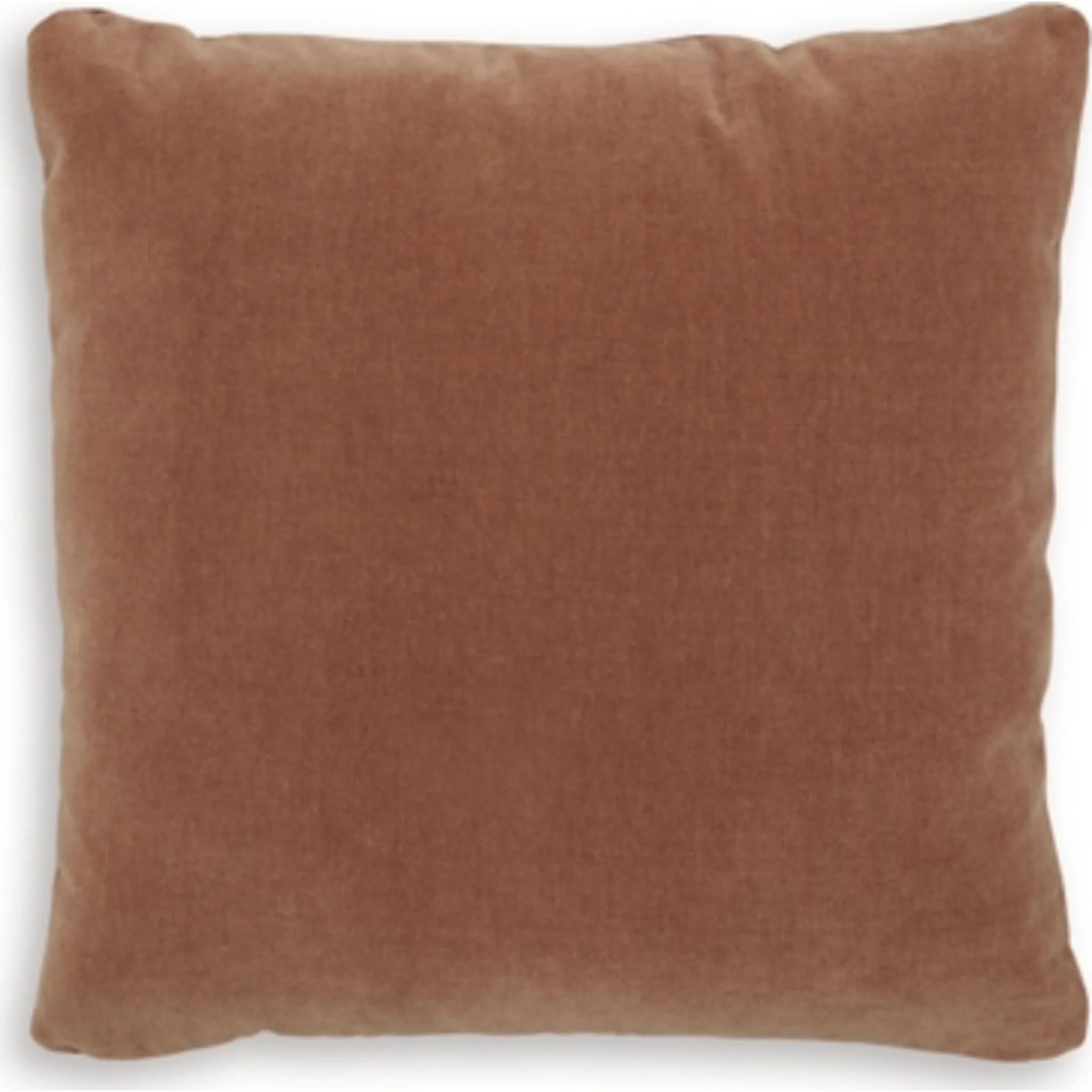 Jaxkins Accent Pillow - Image 4